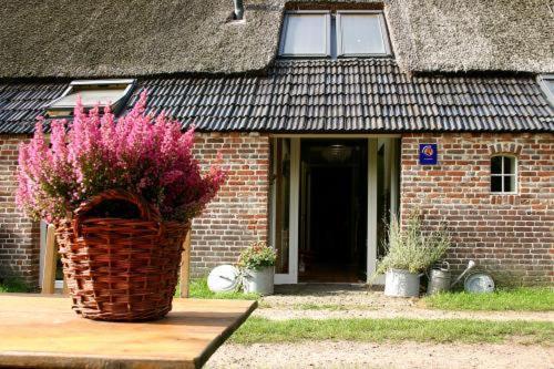 Bed And Breakfast Annen Exterior photo